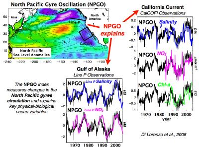Welcome A New Ocean Current - The North Pacific Gyre Oscillation